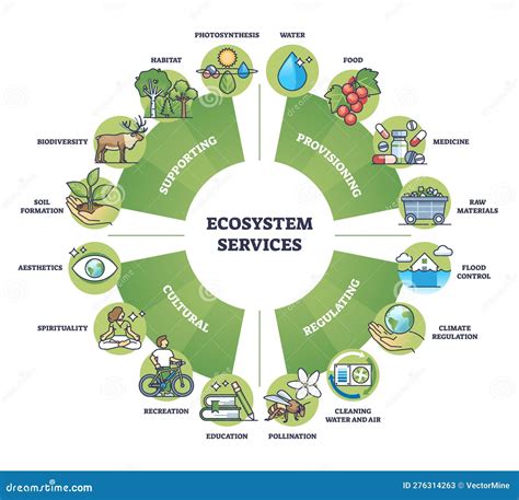 Community-Driven Ecosystem