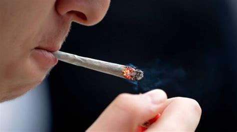 COCAINA E SUOI DERIVATI | Il blog di Mauro Tomassoni