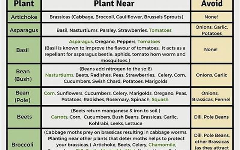 Companion Planting Chart Pdf