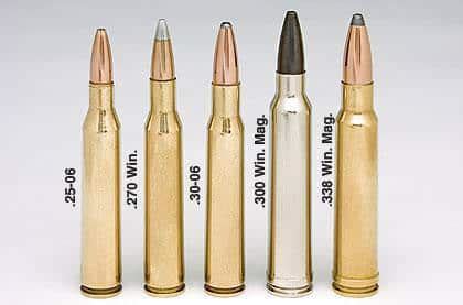 Compare 30 06 To 300 Win Mag