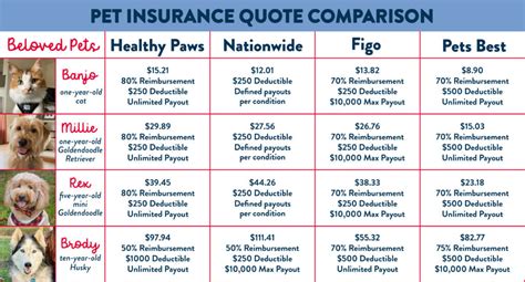 Compare Dog Insurance Plans