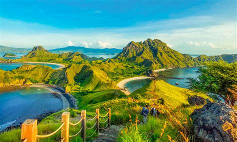 Compare Komodo Tours