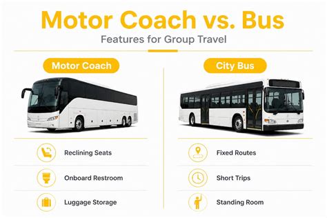 Comparing Coach Services