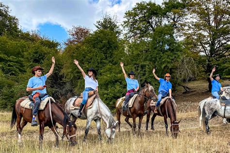 Comparing Horse Riding Tours