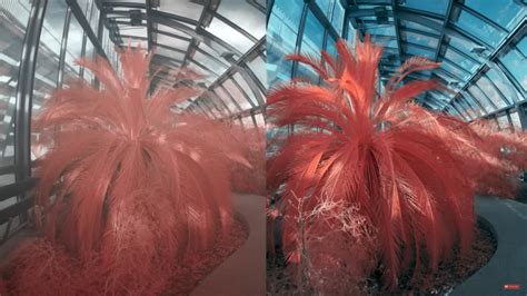 Comparing the DIY infrared filter and the professional clip-in filter