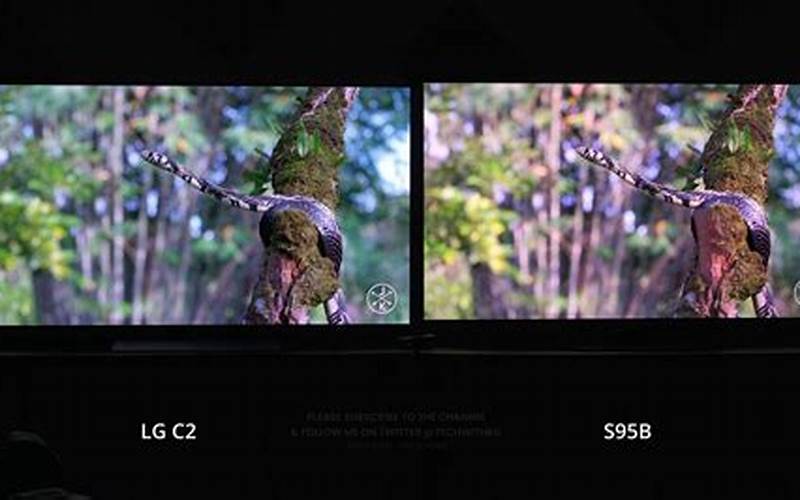 Comparison Of Picture Quality Between Samsung Qd Oled And Lg Oled