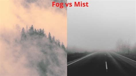 Comparison Between Fog Vs Mist