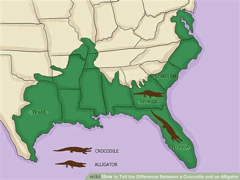 Comparison of MAP with other project management methodologies Map Of Alligators In Florida