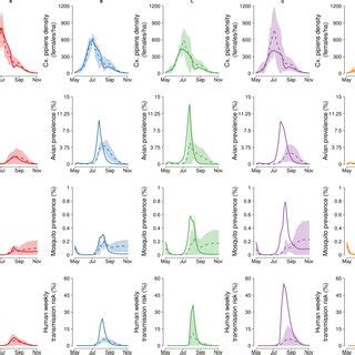 Comparison with Previous Seasons