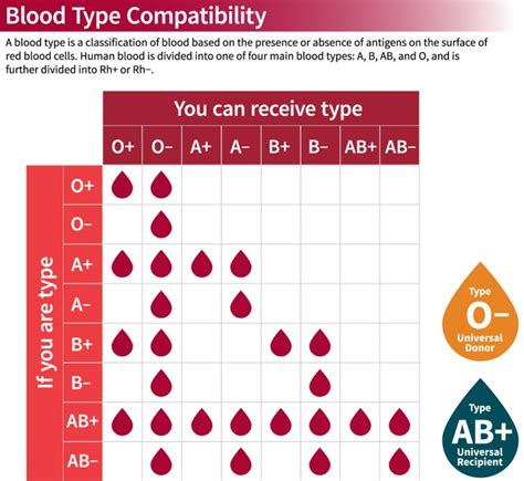 Compatibility Blood Type Chart