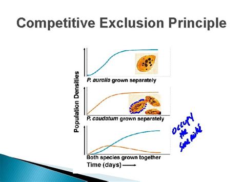 The Ultimate Guide to the Competitive Exclusion Principle: Understanding the Key Definition of Species Competition
