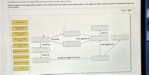 Base pairing in DNA is complementary. Dna, Biochemistry notes