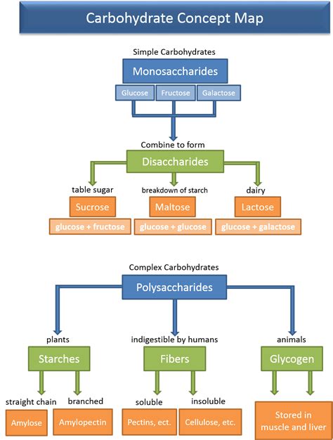 STPM Carbohydrates Concept Map
