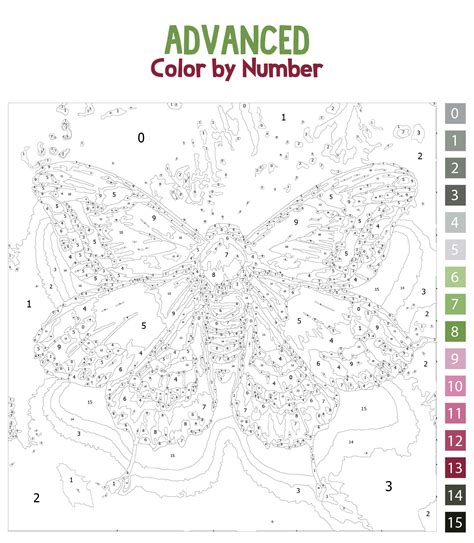 Complex Color By Number