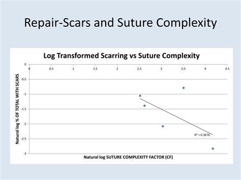 Complexity of the Repair