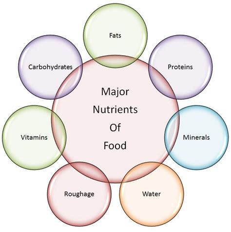 Components of a Nutritional Wiring Diagram
