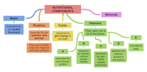 Components of a Nutritional Wiring Diagram