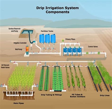Components of an Effective Irrigation System