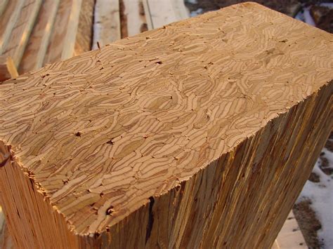 Cedartone Classic PT Lumber 2 inch x 4 inch x 10 ft. The Home Depot