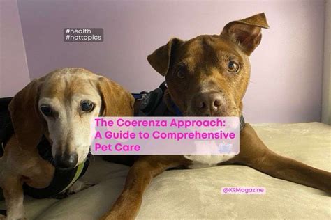 Comprehensive Strategy: Treating the Pet and Home Simultaneously