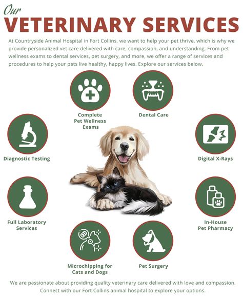 Comprehensive Veterinary Services Offered