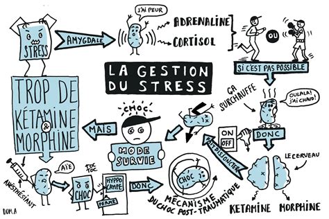 Comprendre le Stress