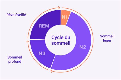 Comprendre les Cycles du Sommeil
