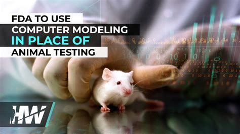 Computer Modeling Alternatives to Animal Testing