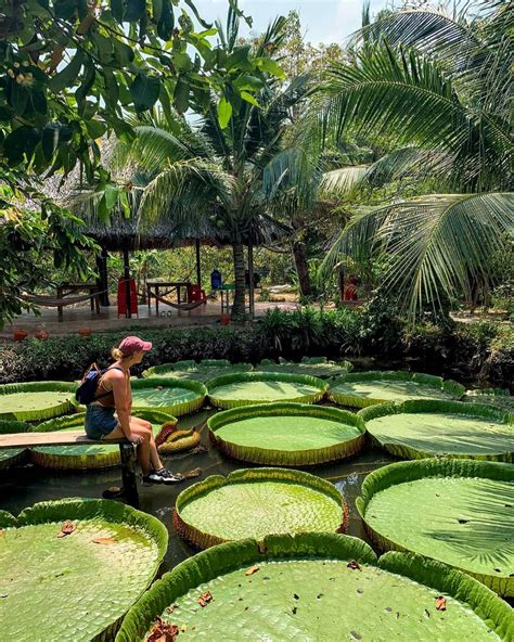 Con Son Islet landscape