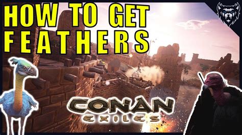 Conan Exiles Feathers | How to Get – Guide Fall