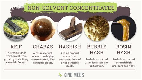 Concentrates vs. Ready-to-Use Formulas