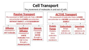 PPT Lecture 4 BIO 344 PowerPoint Presentation, free download ID1451459