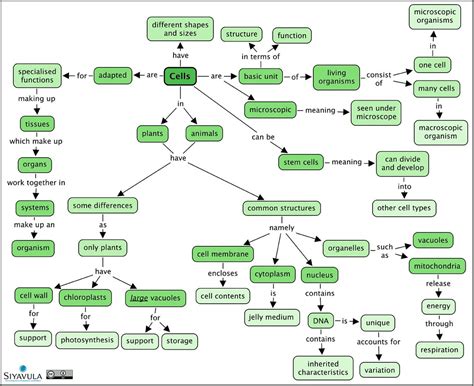 Cell Walls Define Important Bacterial Groups Veterinary Antibacterial
