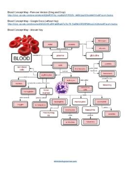 blood worksheet answer key