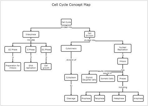 The Study of Life — Biology Cell Cycle Overview Concept Map