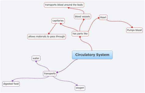Circulatory system Book 752905