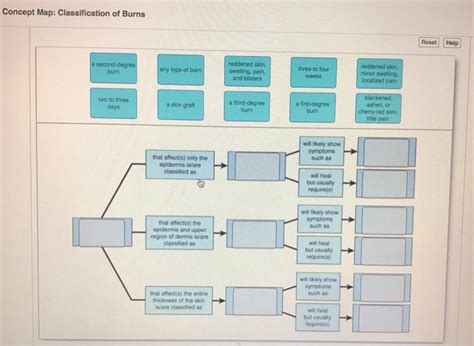 (Get Answer) Concept Map Classification Of Burns Reset Help A Second