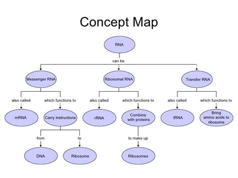 concept map dna rna protein Google Search Bio 121 Pinterest Dna