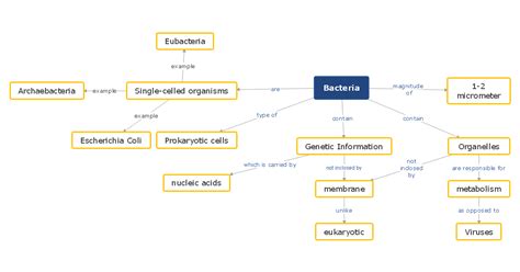 Biology Concept Map Shehzaad's Biology (SBI3UE) EPortfolio