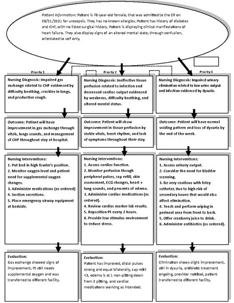 PED concept map Urinary Tract Infection Health Sciences