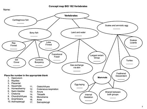 Fish Mind Map