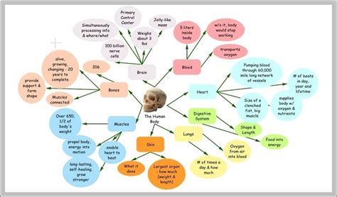 Functions of body systems Body systems, Concept map, Human body systems