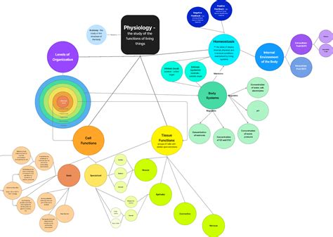 Concept Map Melissa Smith Anatomy & Physiology