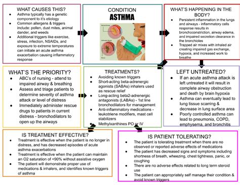 asthma concept map NUR 3050 StuDocu