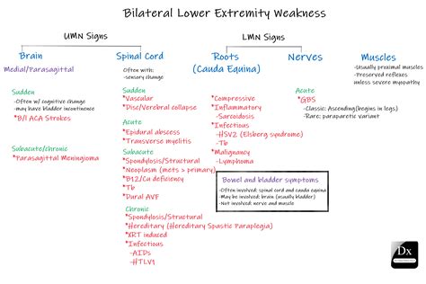 PPT 59 y.o . F who presented with bilateral lower extremity weakness