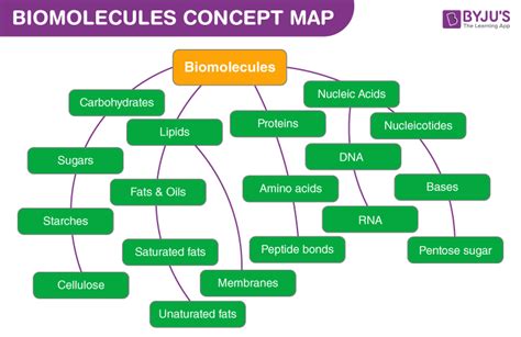 CBSE Class 12 Chemistry Biomolecules Concept map Concepts for