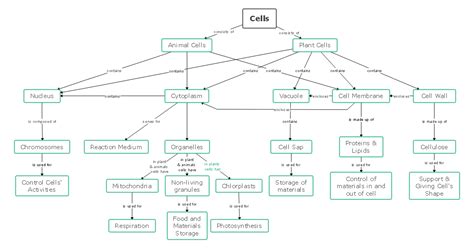 Blue Cell Biology Concept Map Template