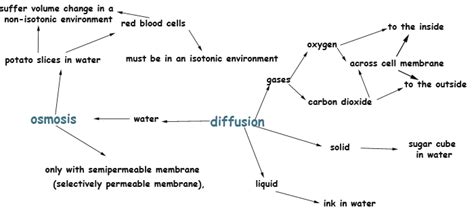 PPT Types Cell transport across the cell membrane PowerPoint