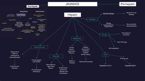 Pin on Medicina Interna