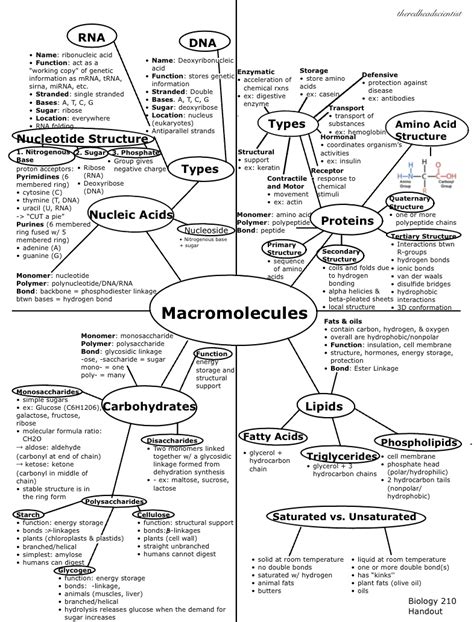C5 Macromolecules What chemicals are important to life and what are